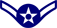 Insignia of an Air Force Airman