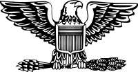 Emblem of an Air Force Colonel