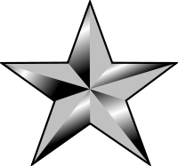 Emblem of an Army Brigadier General