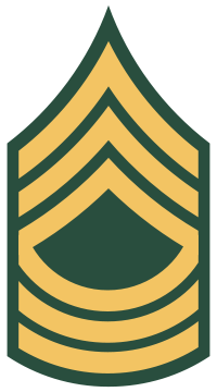 Emblem of an Army Master Sergeant