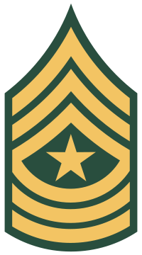 Emblem of an Army Sergeant Major