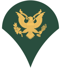Emblem of an Army Specialist