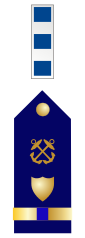 Emblem of a Coast Guard Chief Warrant Officer 4